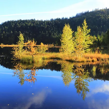 4 Personnes Lägenhet La Bresse
