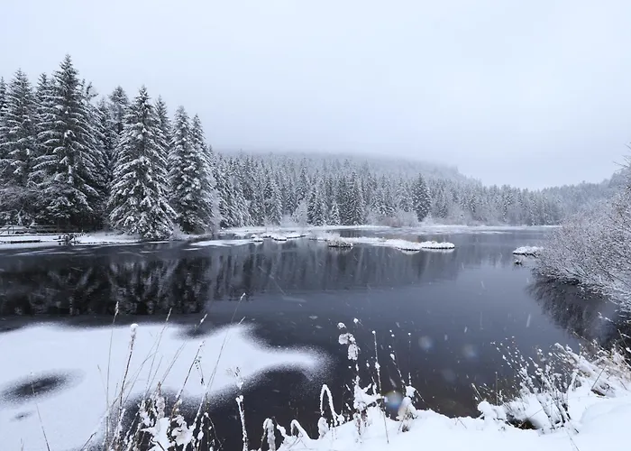 Apartmán 4 Personnes La Bresse